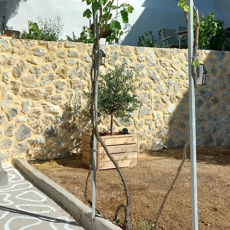 Rustic Private Cottage W/ King Bed In Galanado Naxos Exterior photo